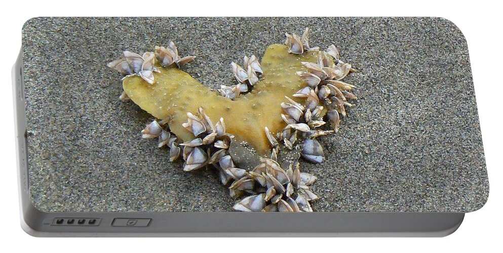 Sea Shells Portable Battery Charger featuring the photograph Message from Atlantis by Pamela Patch