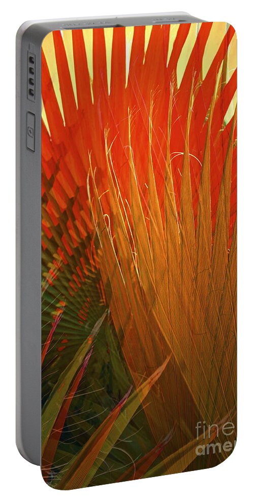 Mexican Palm Portable Battery Charger featuring the photograph Mexican Palm by Gwyn Newcombe