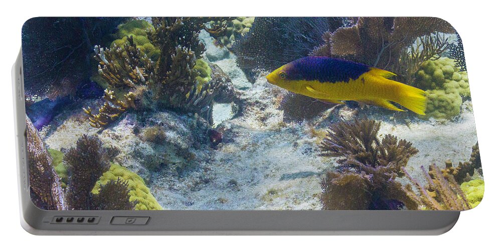 Ocean Portable Battery Charger featuring the photograph Mi Casa by Lynne Browne