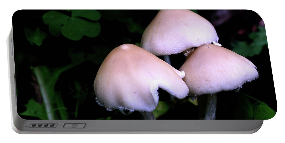 Nature Portable Battery Charger featuring the photograph Midnight Mushrooms by Smilin Eyes Treasures