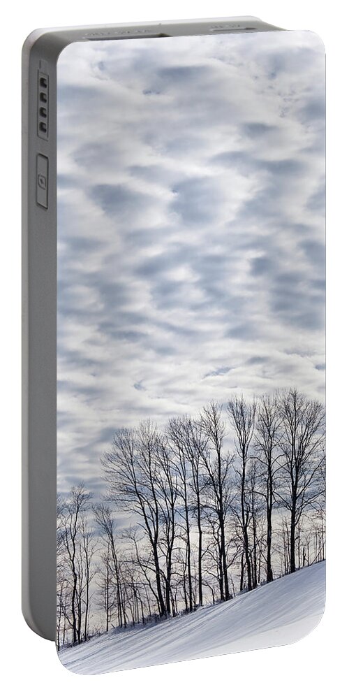 Winter Portable Battery Charger featuring the photograph Midwinter Landscape by Alan L Graham