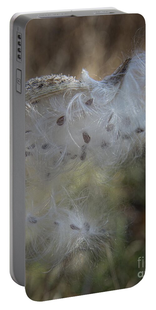 Seeds Portable Battery Charger featuring the photograph Milkweed by Alana Ranney