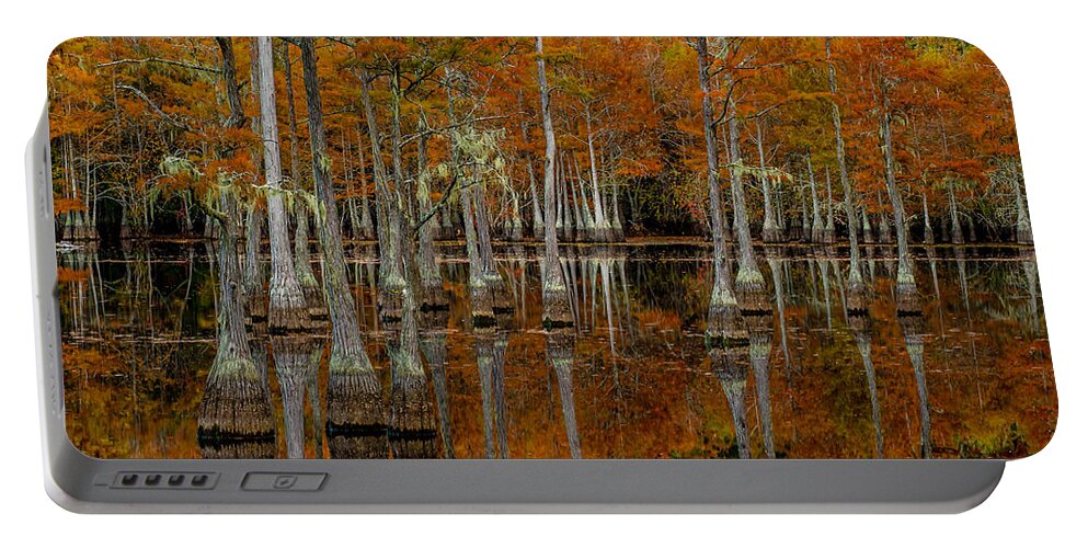 Mill Pond Portable Battery Charger featuring the photograph Mill Pond Reflections by Eric Albright