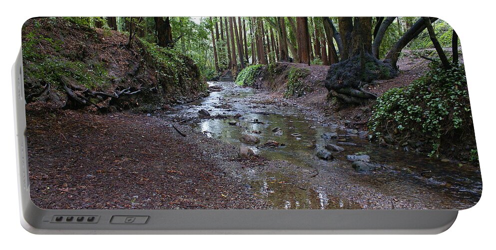 Mount Tamalpais Portable Battery Charger featuring the photograph Miller Grove by Ben Upham III