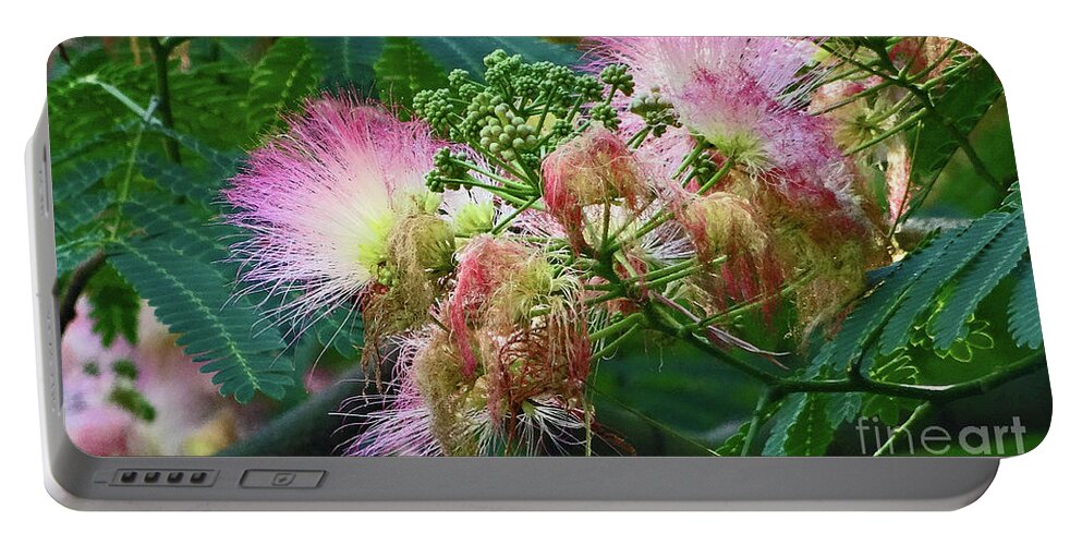 Blossoms Portable Battery Charger featuring the photograph Mimosa Blossoms by Eunice Warfel