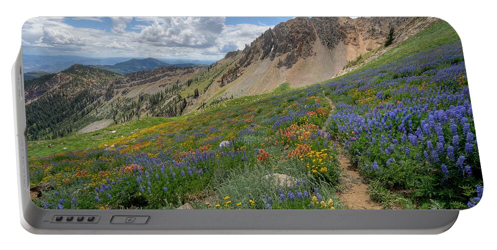 Wildflower Portable Battery Charger featuring the photograph Mineral Basin Wildflowers by Brett Pelletier