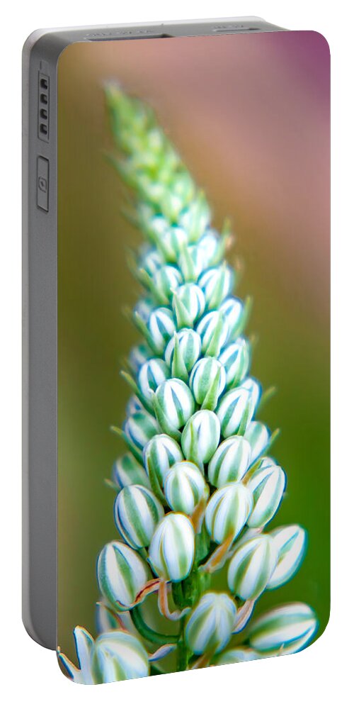 Spring Flowers Portable Battery Charger featuring the photograph Mini Melons by Az Jackson