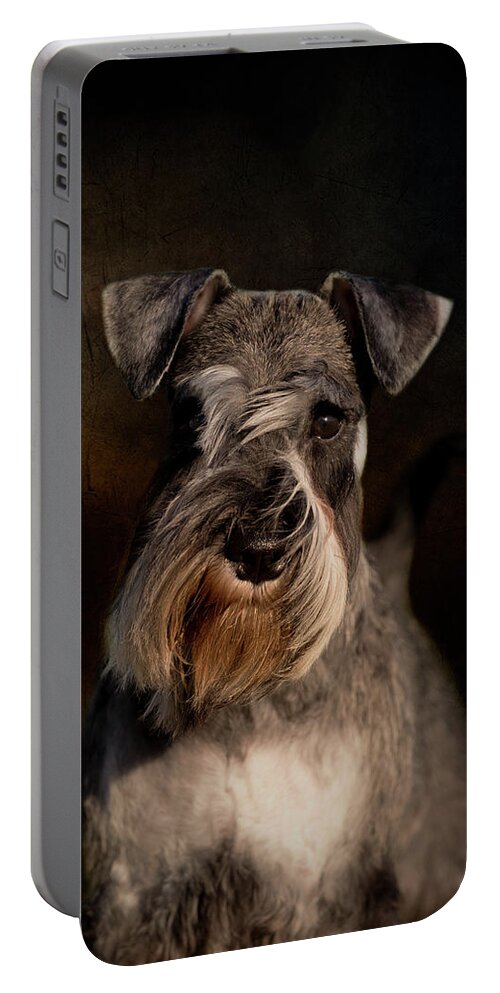 Miniature Schnauzer Portable Battery Charger featuring the photograph Miniature Schnauzer by Diana Andersen