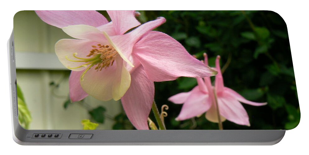 Pink Flowers Portable Battery Charger featuring the photograph Mirrored Image by Pamela Patch