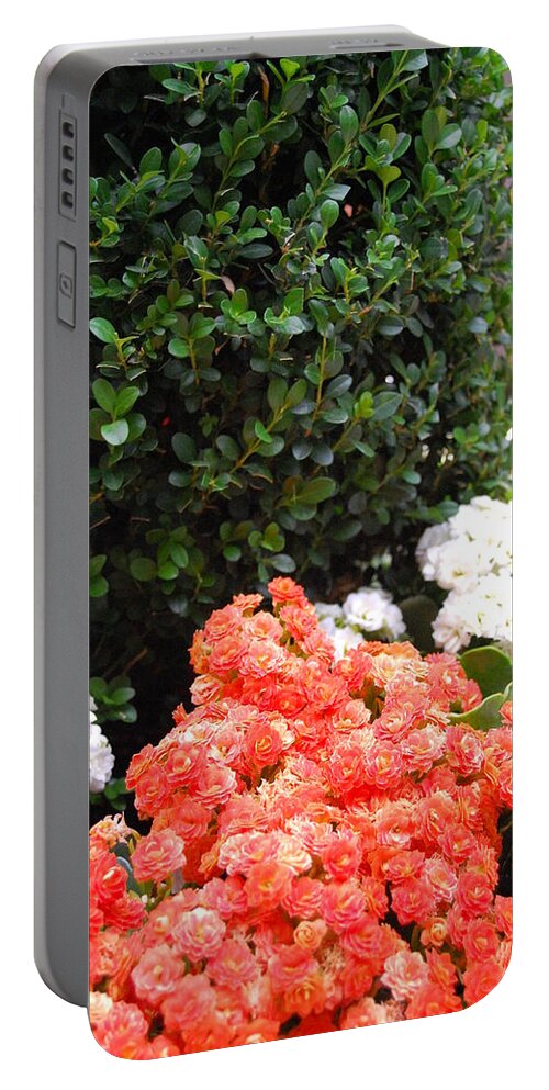 Mission Inn Portable Battery Charger featuring the photograph Mission Inn Flora by Amy Fose