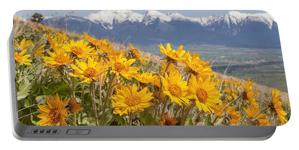 Balsam Portable Battery Charger featuring the photograph Mission Mountain Balsam Blooms by Jack Bell