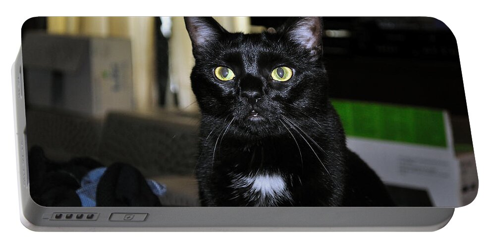 Cat Portable Battery Charger featuring the photograph Mistress of the Dark by Kenneth Albin