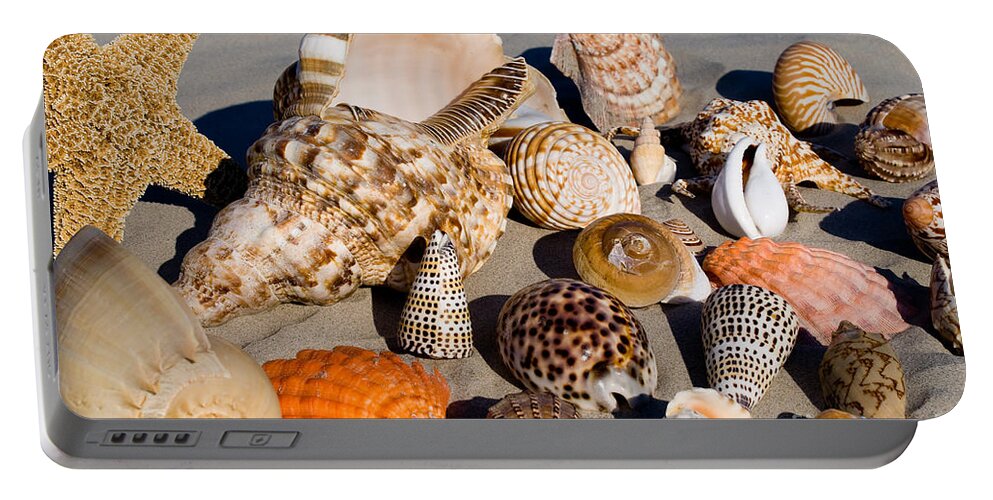 Seashells Portable Battery Charger featuring the photograph Mix Group of Seashells by Anthony Totah