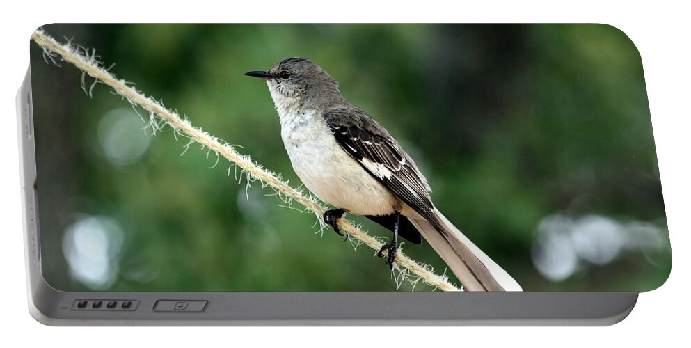 Nature Portable Battery Charger featuring the photograph Mockingbird on Rope by Sheila Brown