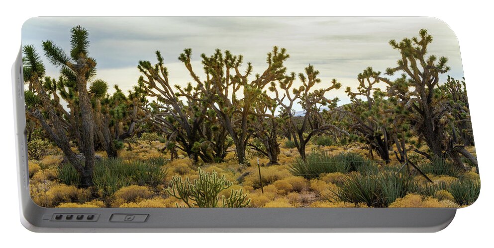 Mohave Joshua Trees Forest Portable Battery Charger featuring the photograph Mohave Joshua Trees Forest by Bonnie Follett