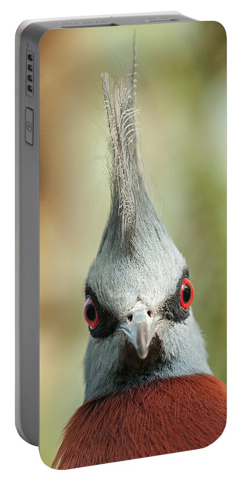 Mohican Portable Battery Charger featuring the photograph Mohican Bird by Nigel R Bell