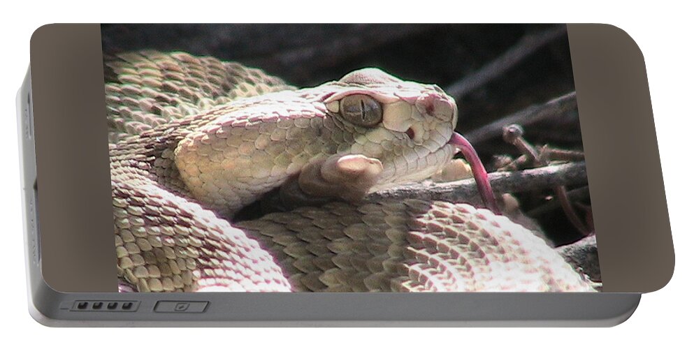 Coiled Portable Battery Charger featuring the photograph Mojave Rattlesnake 4 by Judy Kennedy