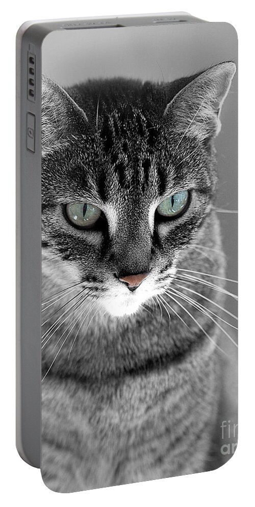 Molly Portable Battery Charger featuring the photograph Molly, The Green Eyed Cat by Sherry Hallemeier