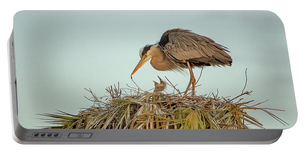 Blue Heron Portable Battery Charger featuring the photograph Mom and Chick by Dorothy Cunningham