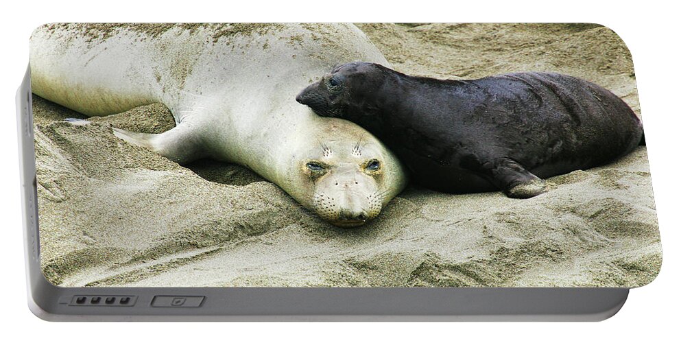 Elephant Seal Portable Battery Charger featuring the photograph Mom and Pup by Anthony Jones