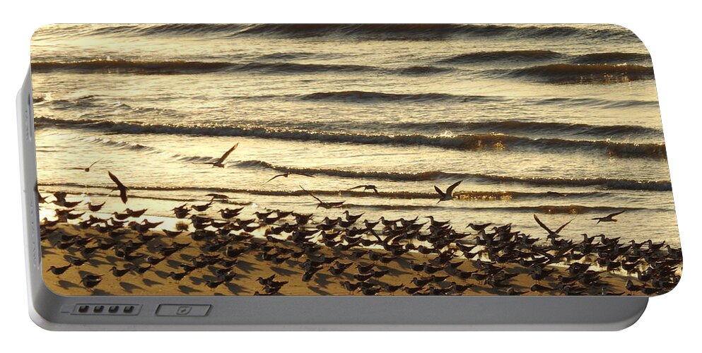 Coastal Birds Portable Battery Charger featuring the digital art Momentous by Jan Gelders