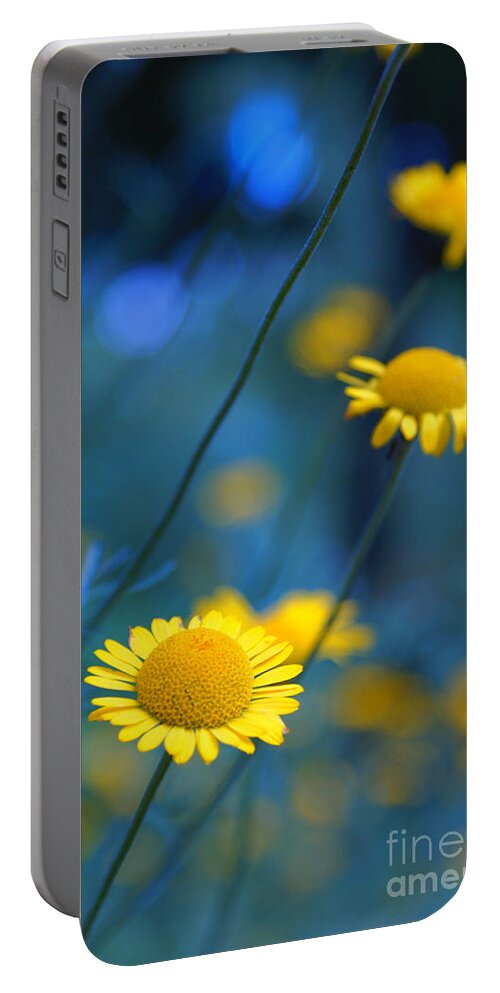 Daisies Portable Battery Charger featuring the photograph Momentum 04a by Variance Collections