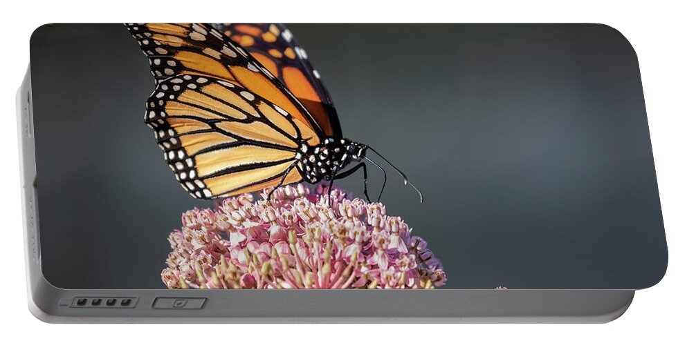 Monarch Butterfly Portable Battery Charger featuring the photograph Monarch 2018-6 by Thomas Young