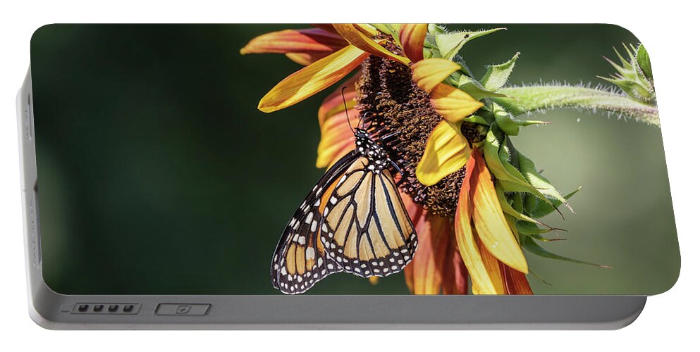 Monarch Butterfly Portable Battery Charger featuring the photograph Monarch 2018-7 by Thomas Young