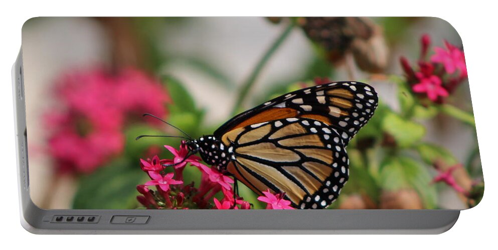 Monarch Butterfly Portable Battery Charger featuring the photograph Monarch Butterfly on Fuchsia by Colleen Cornelius