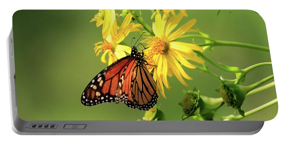  Butterfly Portable Battery Charger featuring the photograph Monarch Butterfly by Gary Hall