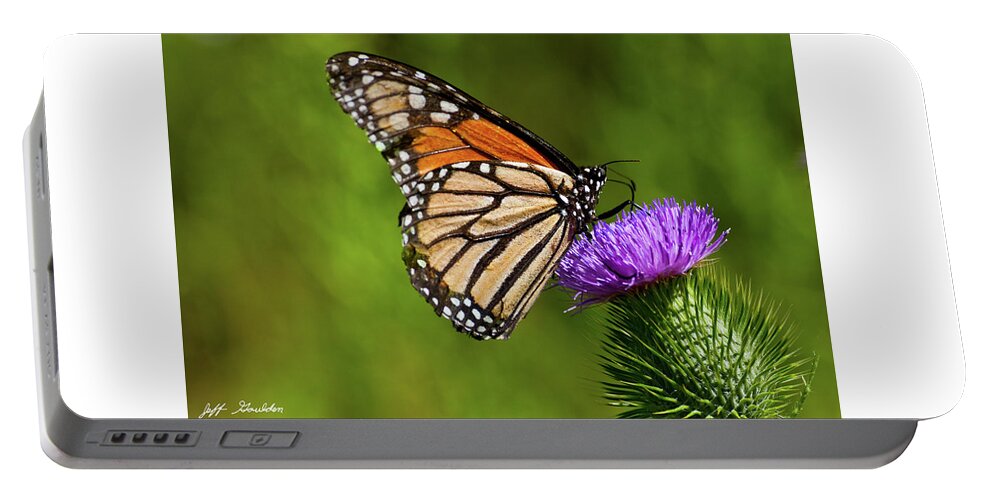 Animal Portable Battery Charger featuring the photograph Monarch Butterfly on a Thistle by Jeff Goulden
