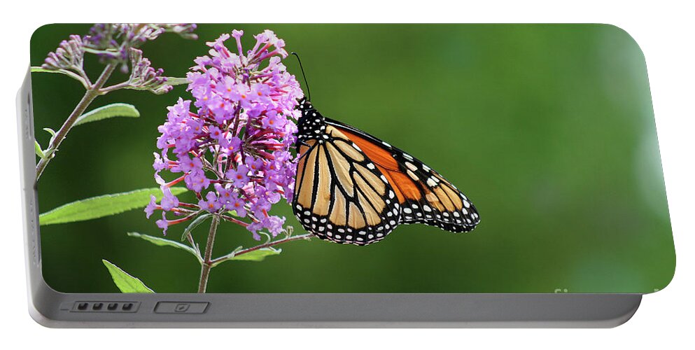 Monarch Portable Battery Charger featuring the photograph Monarch Butterfly on Butterfly Bush 2011 by Karen Adams