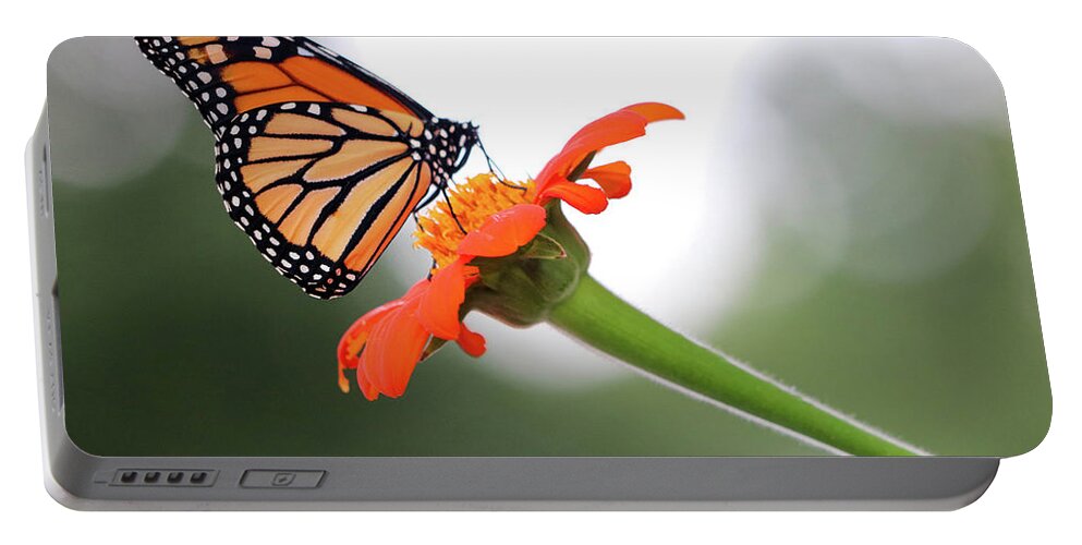 Butterfly Portable Battery Charger featuring the photograph Monarch Landing by Mary Anne Delgado