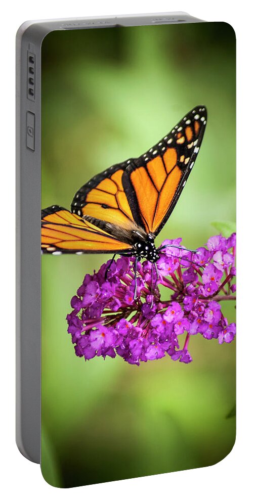 Monarch Portable Battery Charger featuring the photograph Monarch Moth on Buddleias by Carolyn Marshall
