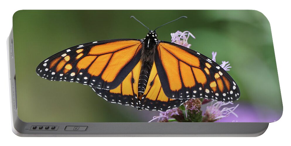 Monarch Butterfly Portable Battery Charger featuring the photograph Monarch on Spiked Blazing Star by Robert E Alter Reflections of Infinity
