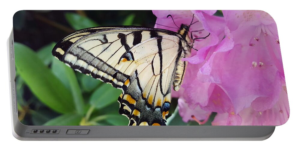 Butterfly Portable Battery Charger featuring the photograph Tuesday One by Dani McEvoy