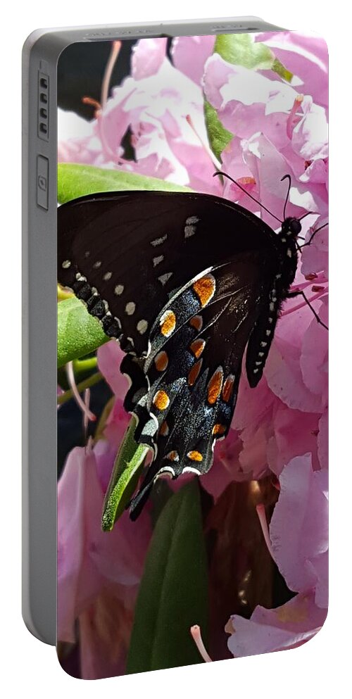 Butterfly Portable Battery Charger featuring the photograph Tuesday Two B by Dani McEvoy