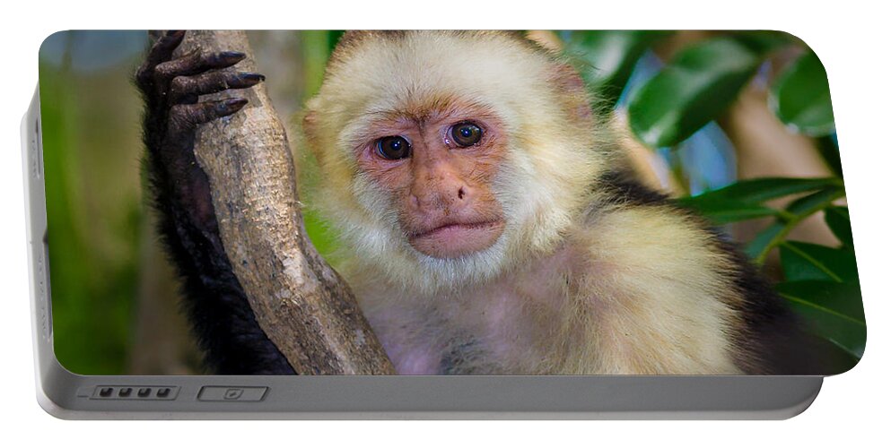 Animals Portable Battery Charger featuring the photograph Monkey Portrait by Rikk Flohr