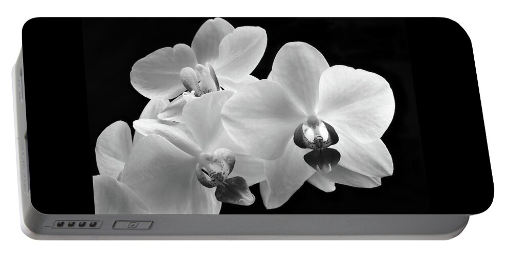 Orchid Portable Battery Charger featuring the photograph Monochrome Orchid by Terence Davis