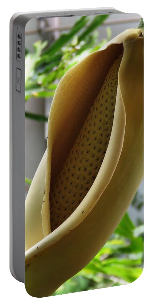 Monstera Deliciosa Portable Battery Charger featuring the photograph Monstera deliciosa Flower by Anita Adams