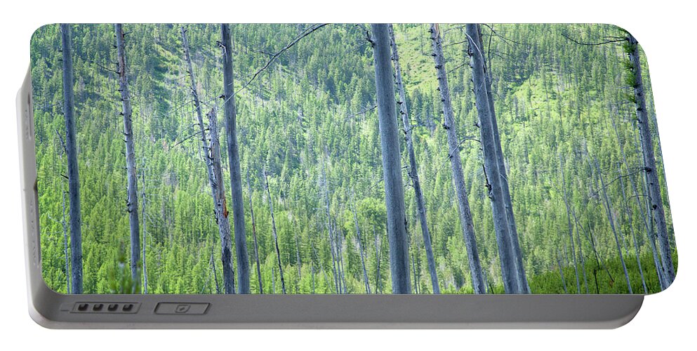 Trees Portable Battery Charger featuring the photograph Montana Trees by David Chasey