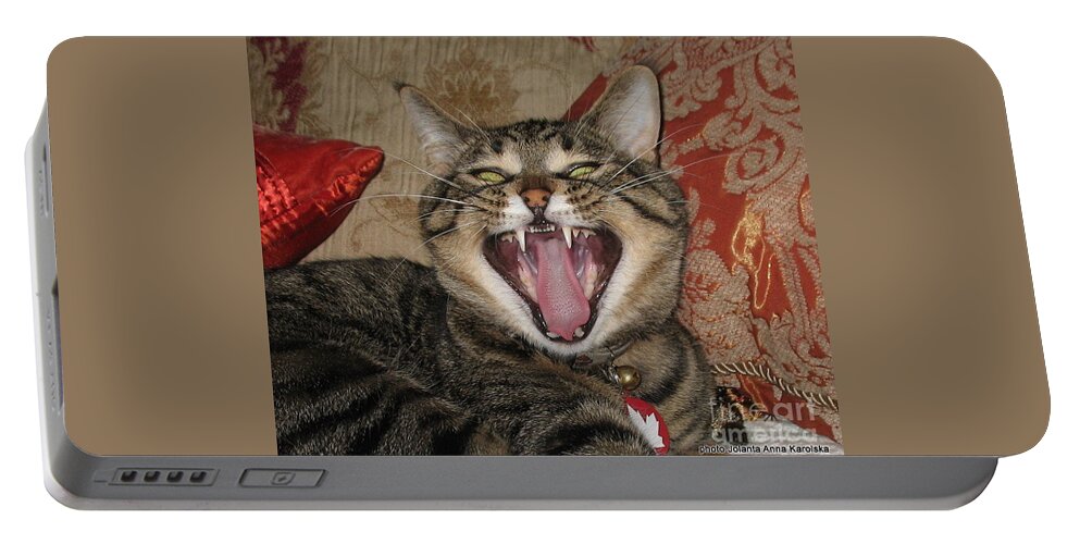 Cats Portable Battery Charger featuring the photograph Monty's yawn by Jolanta Anna Karolska