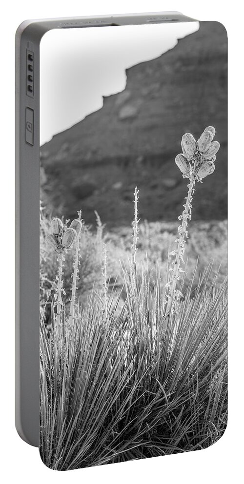 American Landscape Portable Battery Charger featuring the photograph Monument Valley Bud by John McGraw