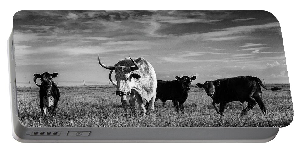 Moo Portable Battery Charger featuring the photograph Moo by Karen Slagle