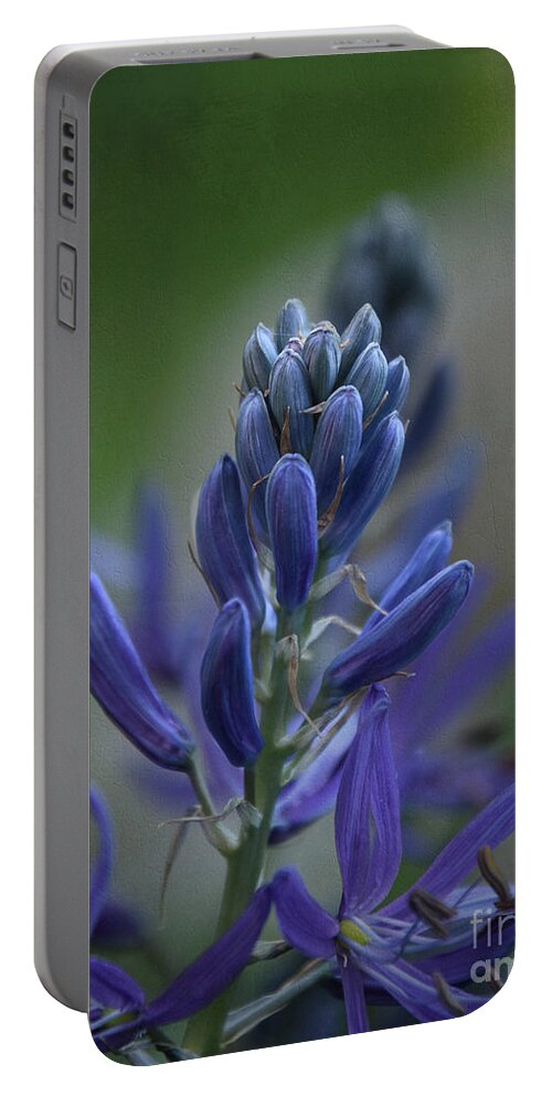 Blue Portable Battery Charger featuring the photograph Mood Indigo 2 by Mary Machare