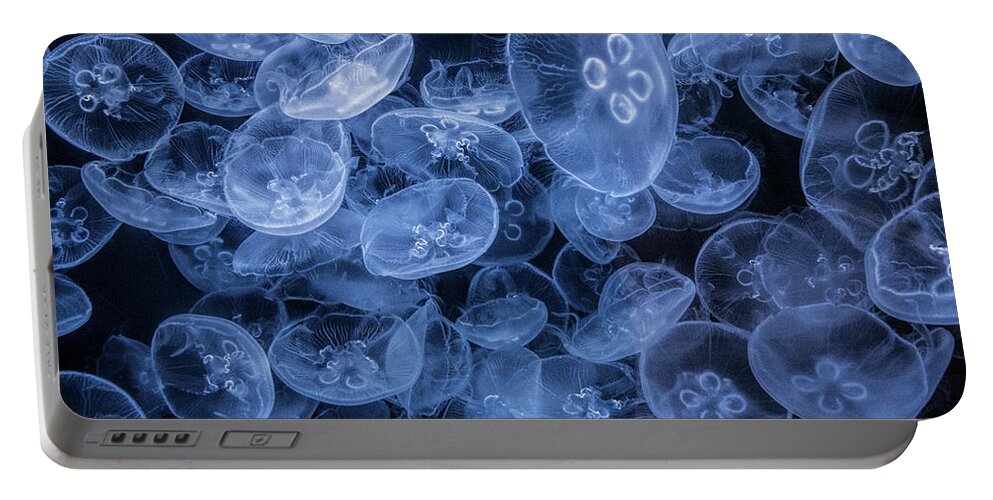 Jellyfish Portable Battery Charger featuring the photograph Moon Jellyfish in False Color at the Cabrillo Marine Aquarium by Randall Nyhof
