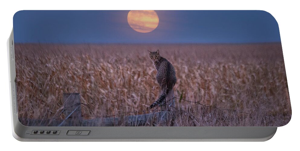 Moon Portable Battery Charger featuring the photograph Moon Kitty by Aaron J Groen