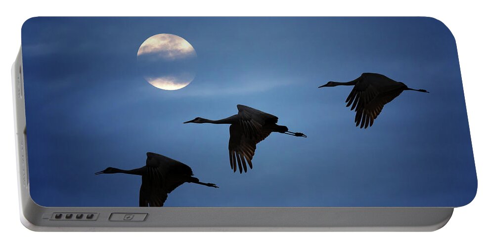 Sandhill Crane Portable Battery Charger featuring the photograph Moonlit Flight by Susan Rissi Tregoning