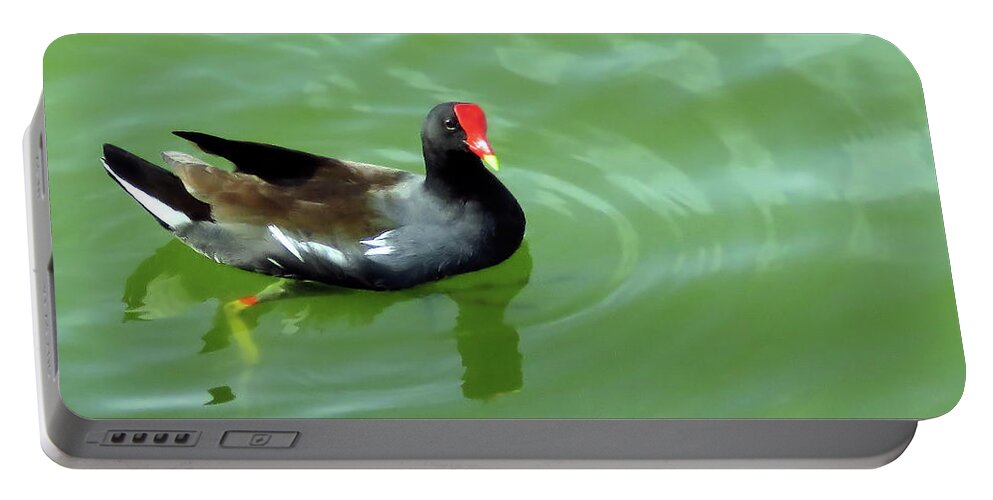 Moorhen Portable Battery Charger featuring the photograph Moorhen by Rosalie Scanlon