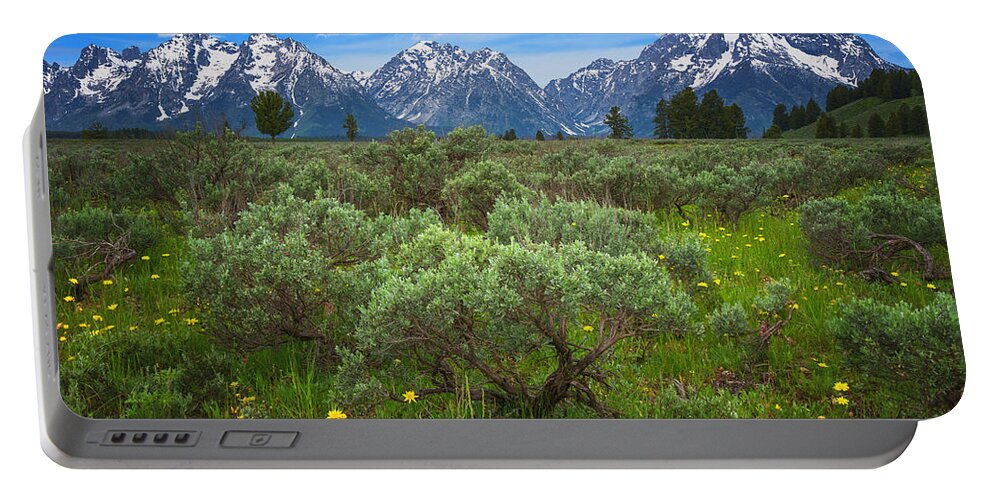Grand Tetons Portable Battery Charger featuring the photograph Moran Meadows by Darren White